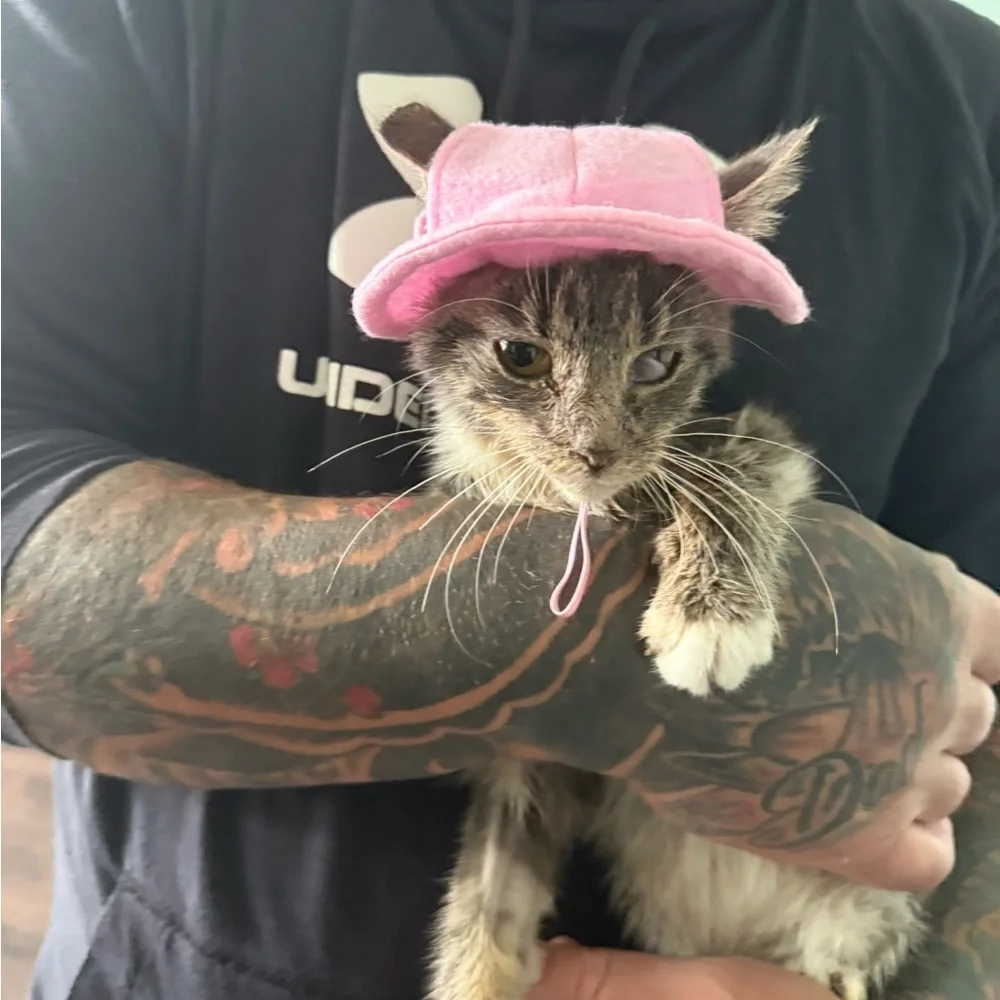 Pink Cat Hat